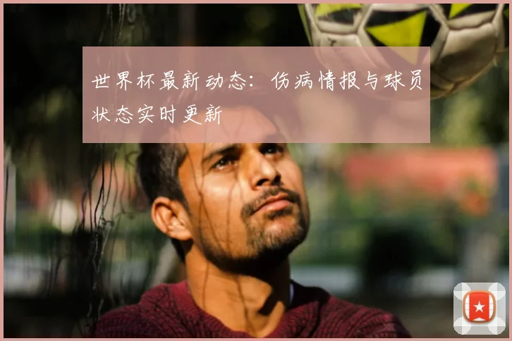 世界杯最新动态：伤病情报与球员状态实时更新
